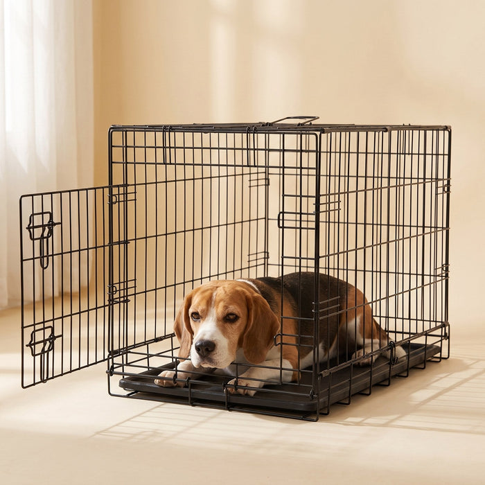 Beagle resting in the three-door dog crate