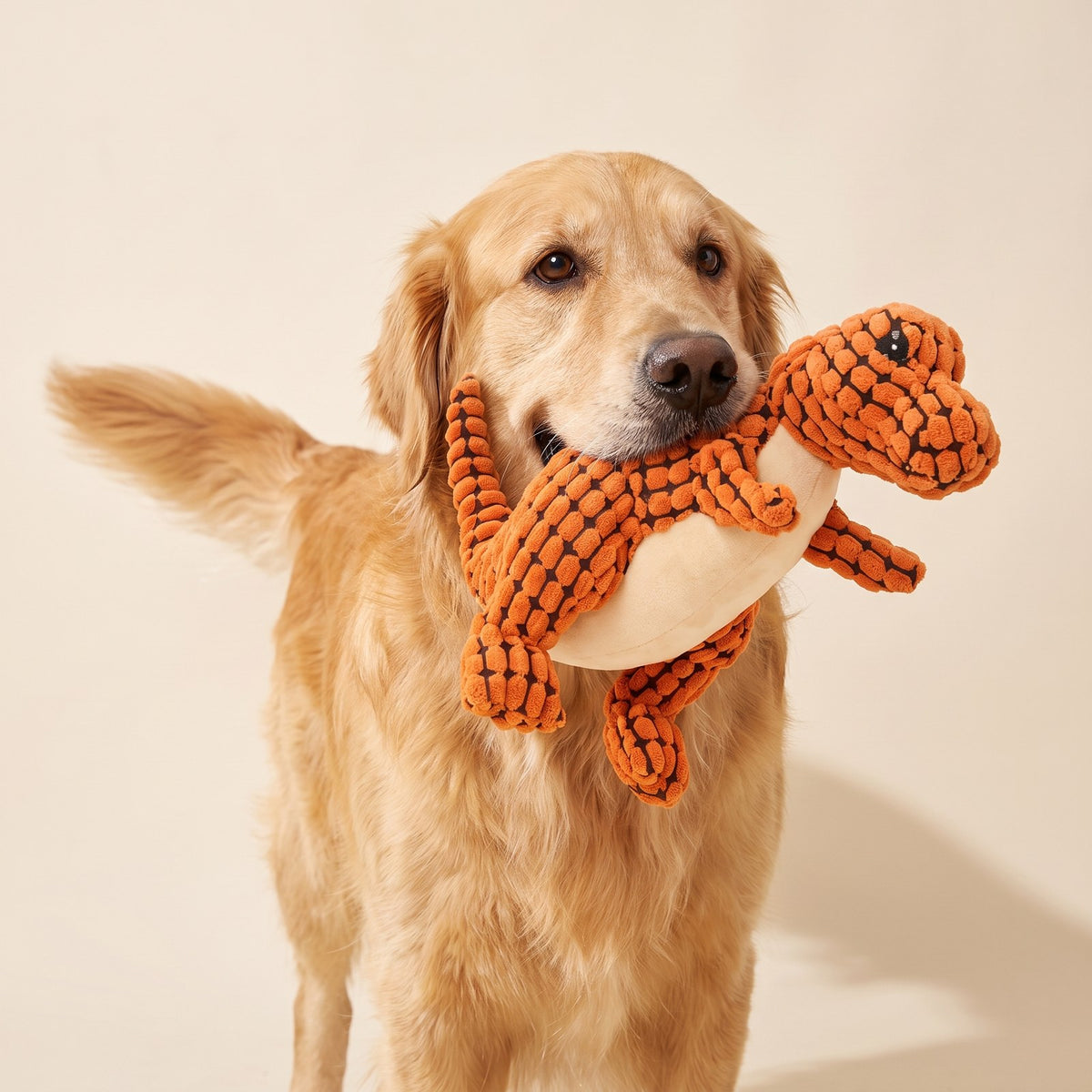 Dinosaur Chew Toy – Puppy Love Australia photo 2