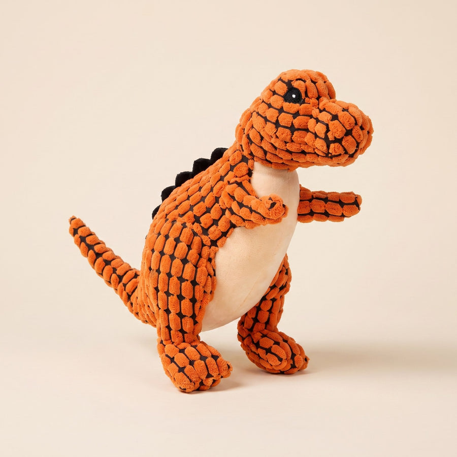 Dinosaur Chew Toy – Puppy Love Australia