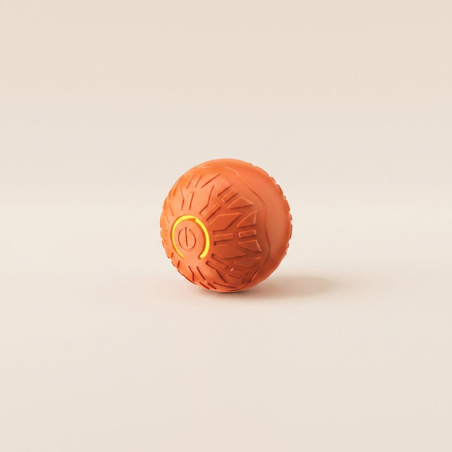 Auto Jumping Ball – Puppy Love Australia
