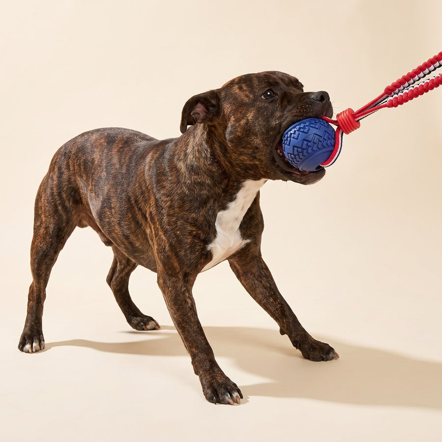 Teether Ball On Rope – Puppy Love Australia photo 2