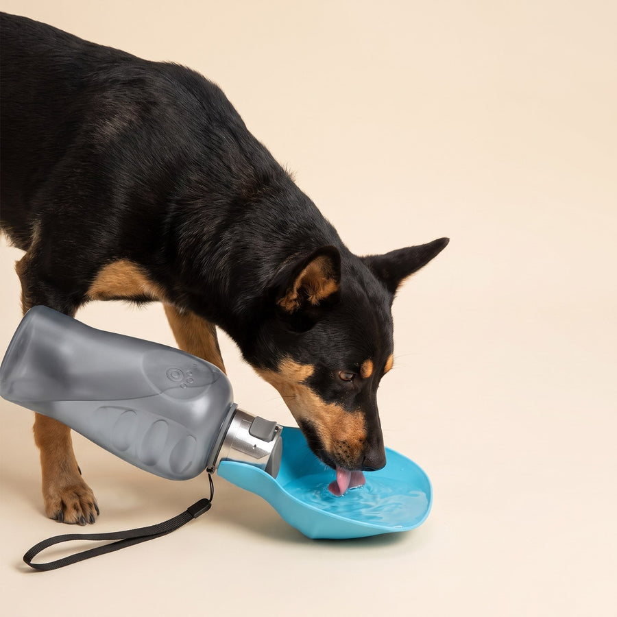 Travel Water Bottle 800ml – Puppy Love Australia photo 2
