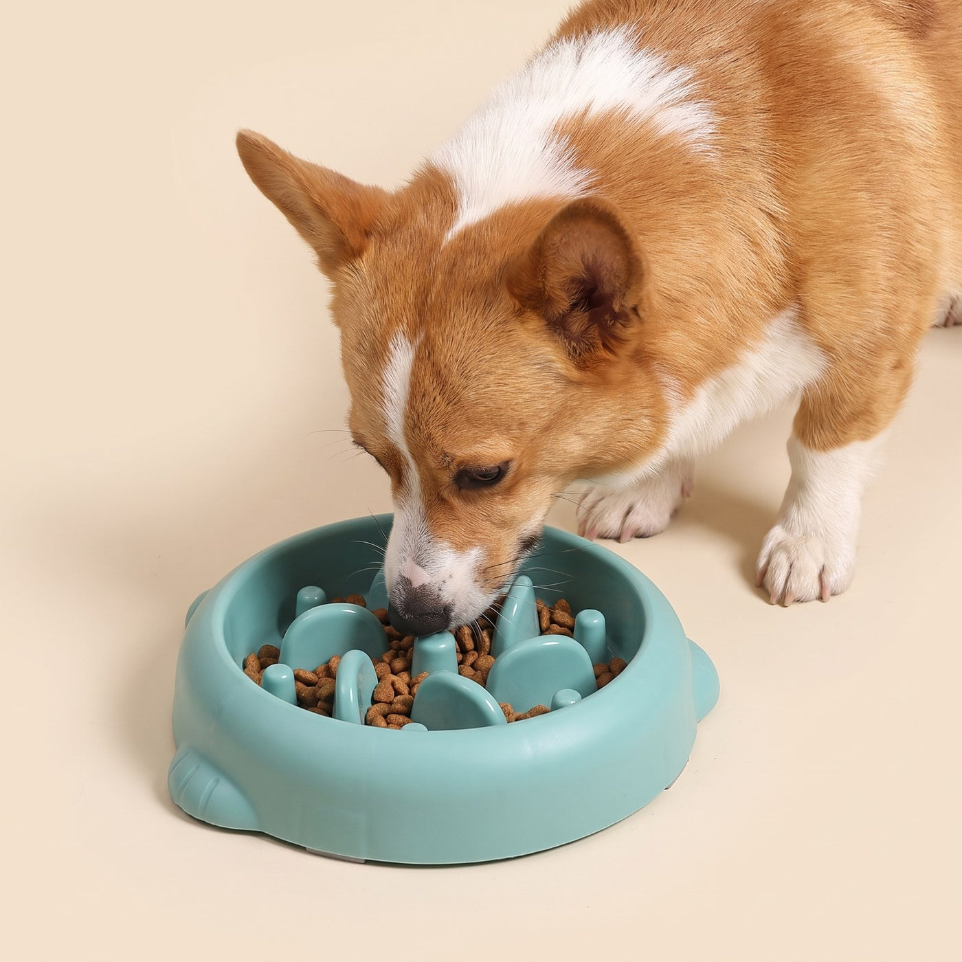 Slow Feeder Bowl – Puppy Love Australia photo 2