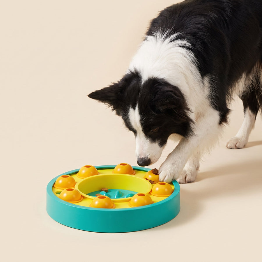 Puzzle Slow Feeder – Puppy Love Australia photo 2