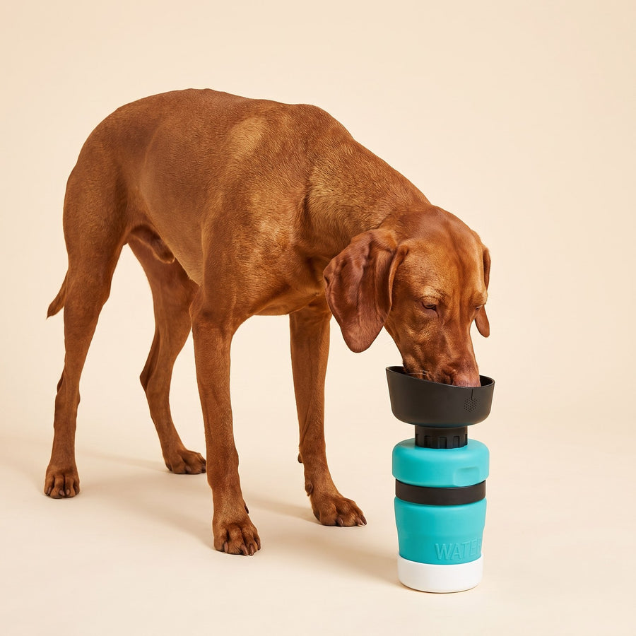 Foldable Travel Bottle – Puppy Love Australia photo 2