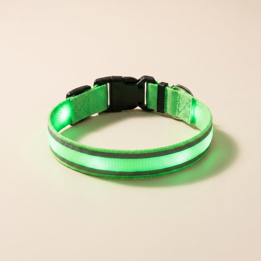 LED Glow Collar – Puppy Love Australia