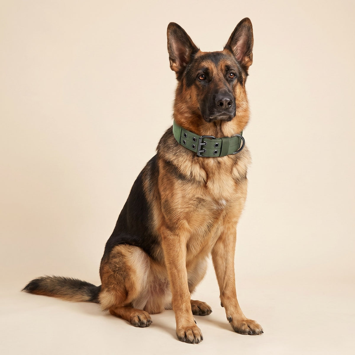 Heavy-Duty Collar Set – Puppy Love Australia photo 2