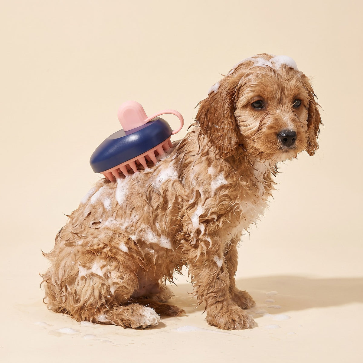 Mouse Bath Brush – Puppy Love Australia photo 2