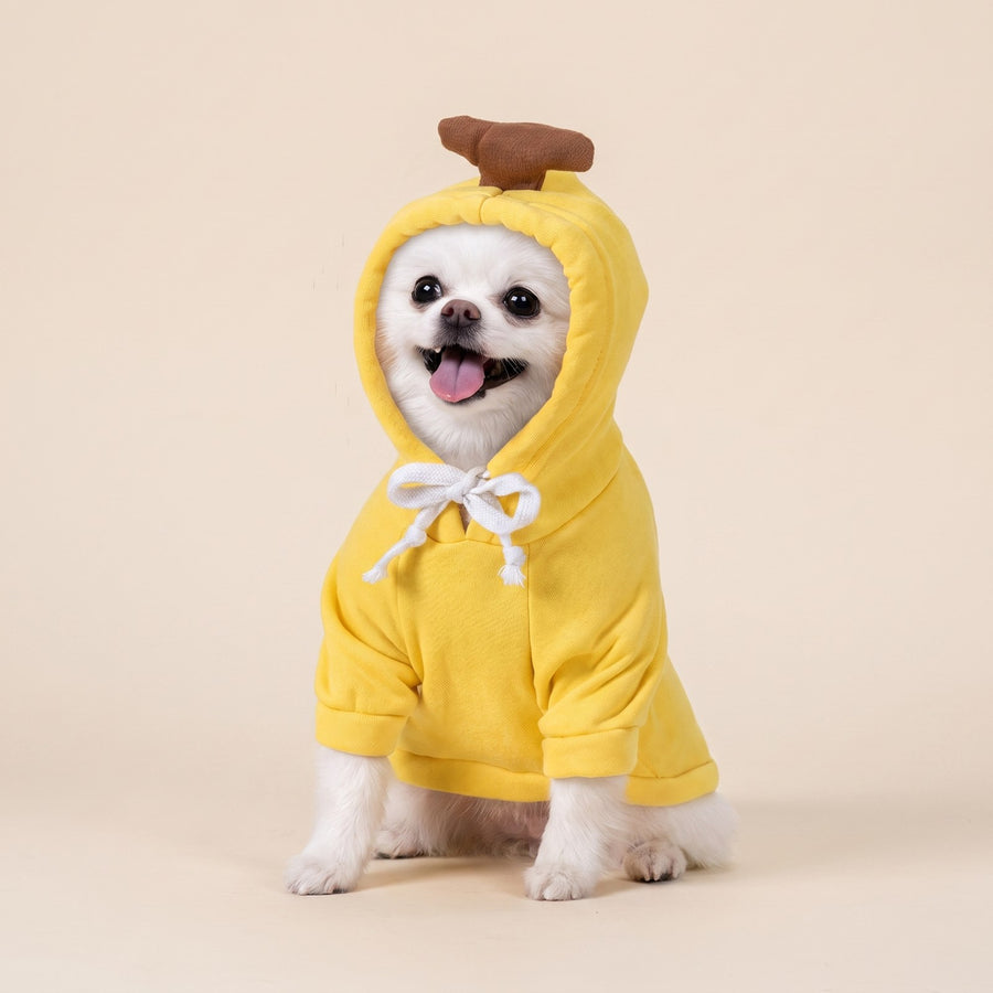 Fruit Hoodie – Puppy Love Australia photo 2