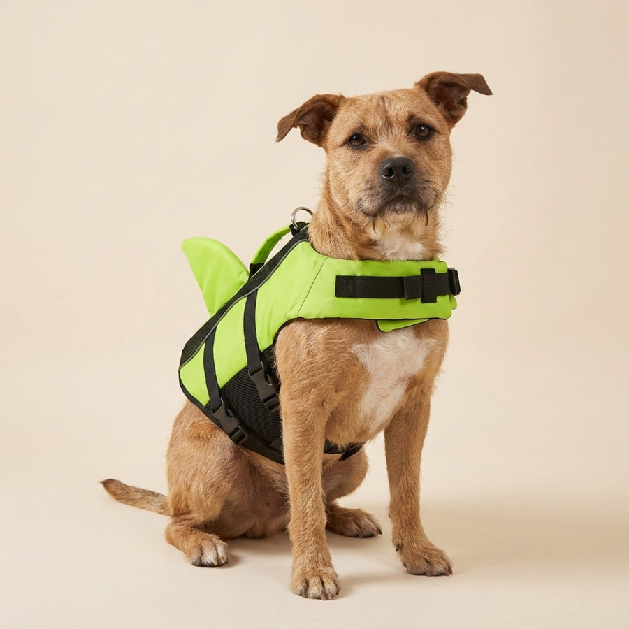 Dog wearing the Shark Life Vest