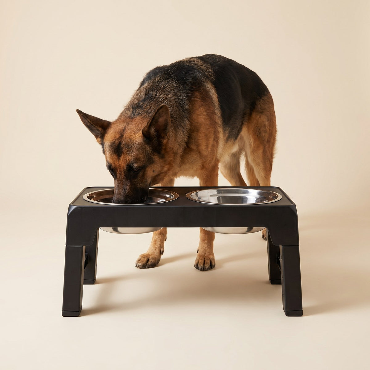 Raised Twin Bowls – Puppy Love Australia photo 2
