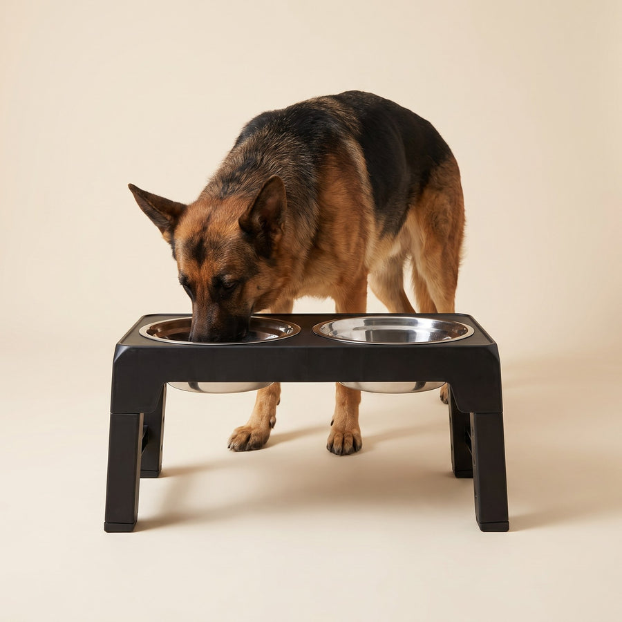 Raised Twin Bowls – Puppy Love Australia photo 2