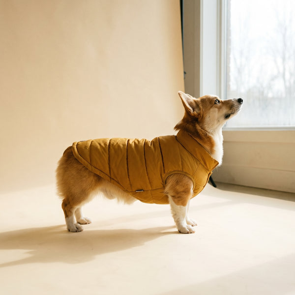 Apparel
